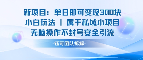新项目单日即可变现3张的小白玩法无脑操作不封号安全引流网创吧-网创项目资源站-副业项目-创业项目-搞钱项目网创吧
