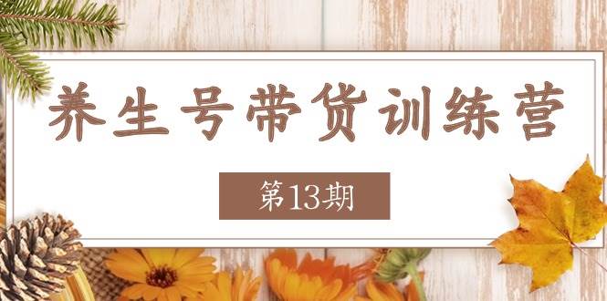 养生号带货训练营【第13期】收益更稳定的玩法,让你带货收益爆炸网创吧-网创项目资源站-副业项目-创业项目-搞钱项目网创吧