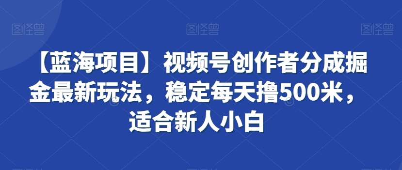 【蓝海项目】视频号创作者分成掘金最新玩法,稳定每天撸500米,适合新人小白【揭秘】网创吧-网创项目资源站-副业项目-创业项目-搞钱项目网创吧