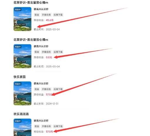 磁力聚星游戏副业陪跑训练营1.0,长期稳定项目,有人一周干了1K+网创吧-网创项目资源站-副业项目-创业项目-搞钱项目网创吧