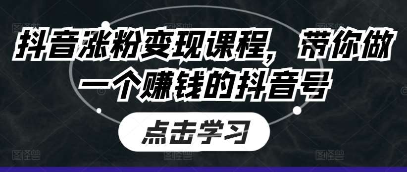 抖音涨粉变现课程,带你做一个赚钱的抖音号网创吧-网创项目资源站-副业项目-创业项目-搞钱项目网创吧