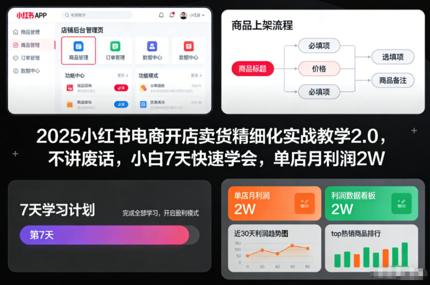 2025小红书电商开店卖货精细化实战教学2.0,不讲废话,小白7天快速学会,单店月利润2W网创吧-网创项目资源站-副业项目-创业项目-搞钱项目网创吧