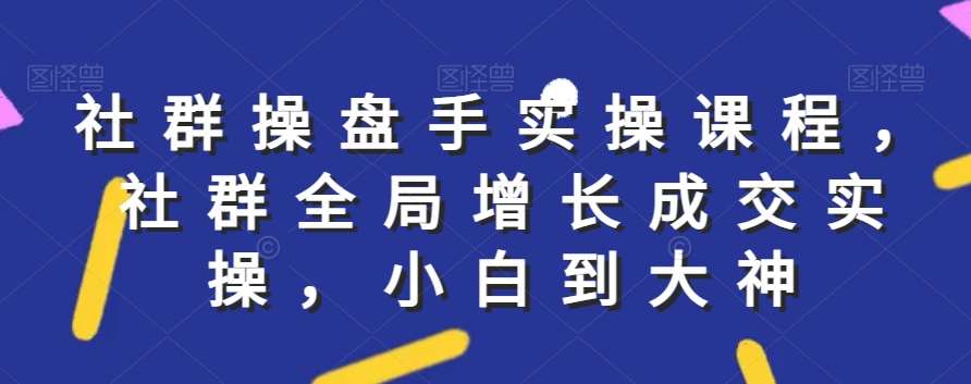 社群实操课程,社群全局增长成交实操,小白到大神网创吧-网创项目资源站-副业项目-创业项目-搞钱项目网创吧