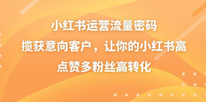 (8764期)小红书运营流量密码,揽获意向客户,让你的小红书高点赞多粉丝高转化网创吧-网创项目资源站-副业项目-创业项目-搞钱项目网创吧