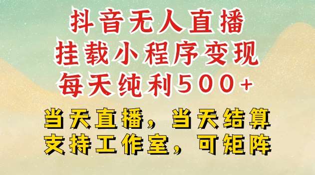 抖音无人直播挂载小程序变现每天纯利500+当天直播，当天结算支持工作室，可矩阵【揭秘】网创吧-网创项目资源站-副业项目-创业项目-搞钱项目网创吧
