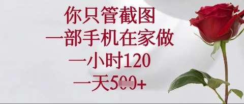 你只管截图,一部手机在家操作,一小时120.一天5张【揭秘】网创吧-网创项目资源站-副业项目-创业项目-搞钱项目网创吧