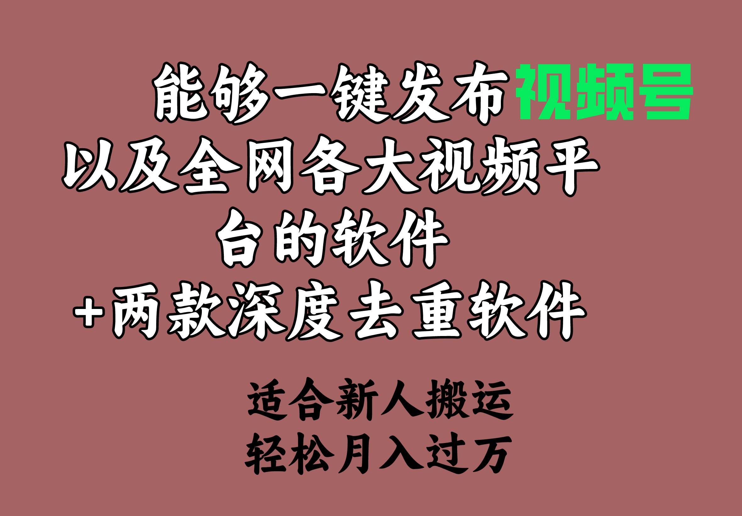 (9319期)能够一键发布视频号以及全网各大视频平台的软件+两款深度去重软件 适合...网创吧-网创项目资源站-副业项目-创业项目-搞钱项目网创吧