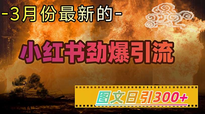 小红书超劲爆引流手段,图文日引300+轻松变现1W网创吧-网创项目资源站-副业项目-创业项目-搞钱项目网创吧