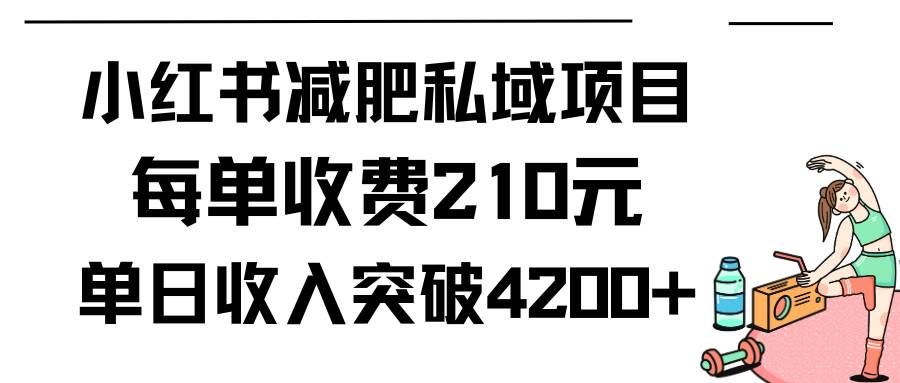 (9466期)小红书减肥私域项目每单收费210元单日成交20单,最高日入4200+网创吧-网创项目资源站-副业项目-创业项目-搞钱项目网创吧