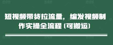 短视频带货拉流量,编发视频制作实操全流程(可搬运)网创吧-网创项目资源站-副业项目-创业项目-搞钱项目网创吧