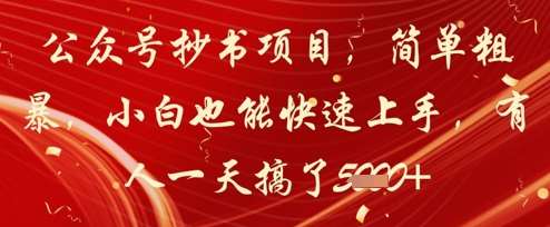 公众号抄书项目,简单粗暴,小白也能快速上手,有人一天搞了1k+网创吧-网创项目资源站-副业项目-创业项目-搞钱项目网创吧