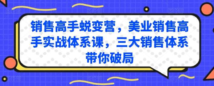 销售高手蜕变营,美业销售高手实战体系课,三大销售体系带你破局网创吧-网创项目资源站-副业项目-创业项目-搞钱项目网创吧