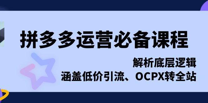 (13700期)拼多多运营必备课程,解析底层逻辑,涵盖低价引流、OCPX转全站网创吧-网创项目资源站-副业项目-创业项目-搞钱项目网创吧