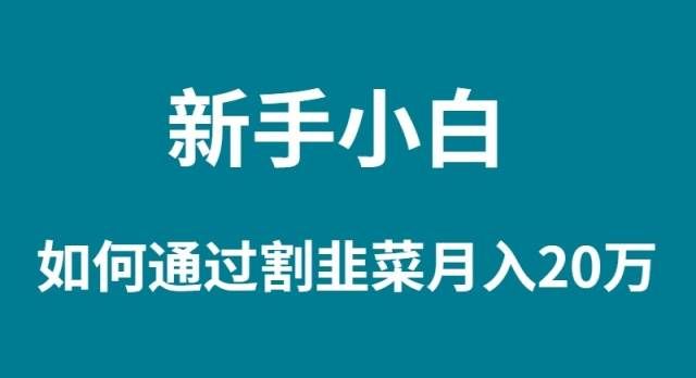 (9308期)新手小白如何通过割韭菜月入 20W网创吧-网创项目资源站-副业项目-创业项目-搞钱项目网创吧