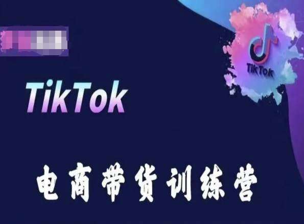 TikTok电商带货训练营,跟随时代潮流,跨境掘金网创吧-网创项目资源站-副业项目-创业项目-搞钱项目网创吧