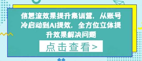 信息流效果提升集训营,从账号冷启动到AI提效,全方位立体提升效果解决问题网创吧-网创项目资源站-副业项目-创业项目-搞钱项目网创吧