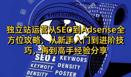 独立站运营从SEO到Adsense全方位攻略,从新手入门到进阶技巧,再到高手经验分享网创吧-网创项目资源站-副业项目-创业项目-搞钱项目网创吧