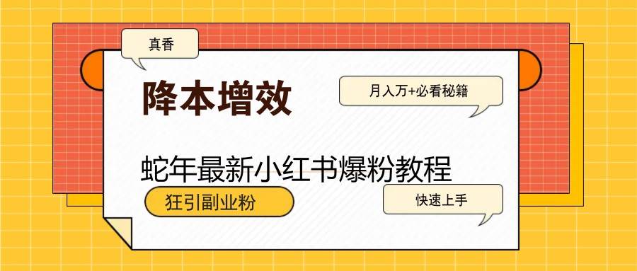 蛇年最新小红书爆粉教程，狂引副业粉，月入万+必看网创吧-网创项目资源站-副业项目-创业项目-搞钱项目网创吧