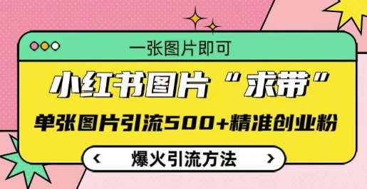 小红书图片‘求带’爆火引流法,单张图片引流500+精准创业粉【揭秘】网创吧-网创项目资源站-副业项目-创业项目-搞钱项目网创吧