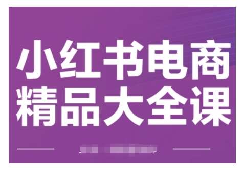 小红书电商精品大全课,快速掌握小红书运营技巧,实现精准引流与爆单目标,轻松玩转小红书电商网创吧-网创项目资源站-副业项目-创业项目-搞钱项目网创吧