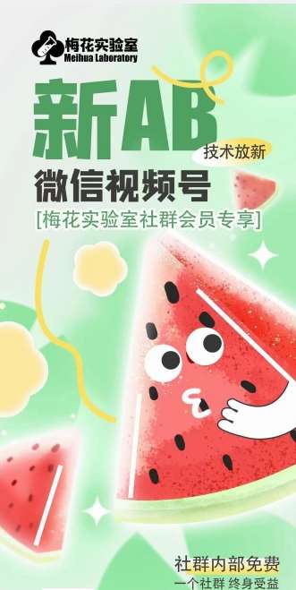梅花实验室2024年AB技术视频号AB合成破解版网创吧-网创项目资源站-副业项目-创业项目-搞钱项目网创吧