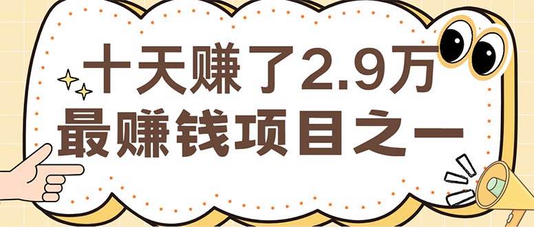 (12491期)闲鱼小红书赚钱项目之一,轻松月入6万+项目网创吧-网创项目资源站-副业项目-创业项目-搞钱项目网创吧