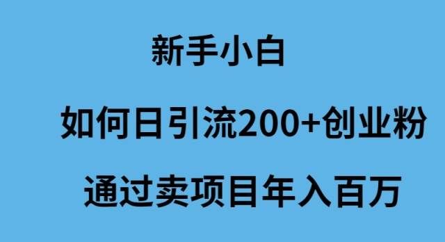 (9668期)新手小白如何日引流200+创业粉通过卖项目年入百万网创吧-网创项目资源站-副业项目-创业项目-搞钱项目网创吧