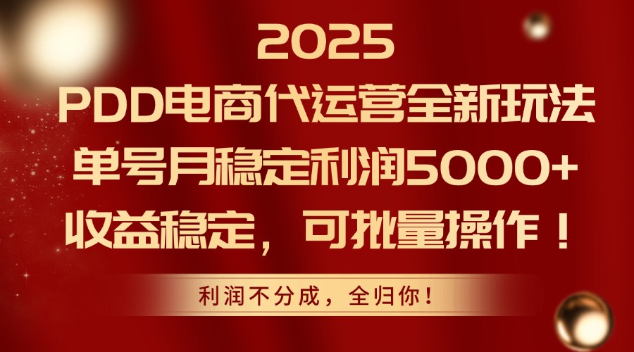 (14839期)2025PDD电商代运营全新玩法,单号月稳定利润5000+,收益稳定,可批量操作网创吧-网创项目资源站-副业项目-创业项目-搞钱项目网创吧