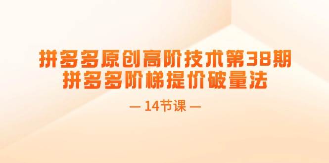 (11704期)拼多多原创高阶技术第38期,拼多多阶梯提价破量法(14节课)网创吧-网创项目资源站-副业项目-创业项目-搞钱项目网创吧