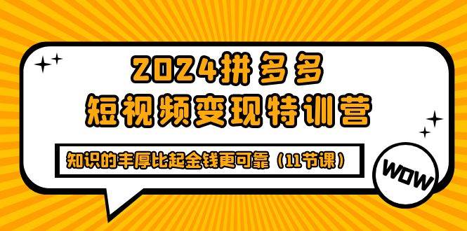 (9817期)2024拼多多短视频变现特训营,知识的丰厚比起金钱更可靠(11节课)网创吧-网创项目资源站-副业项目-创业项目-搞钱项目网创吧