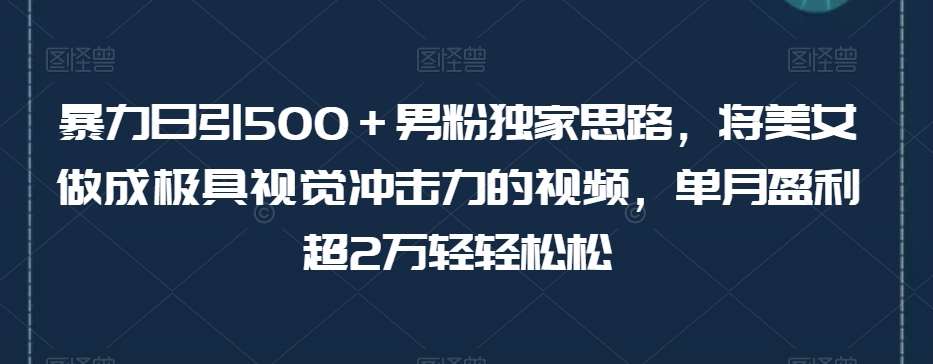 暴力日引500+男粉独家思路,将美女做成极具视觉冲击力的视频,单月盈利超2万轻轻松松网创吧-网创项目资源站-副业项目-创业项目-搞钱项目网创吧