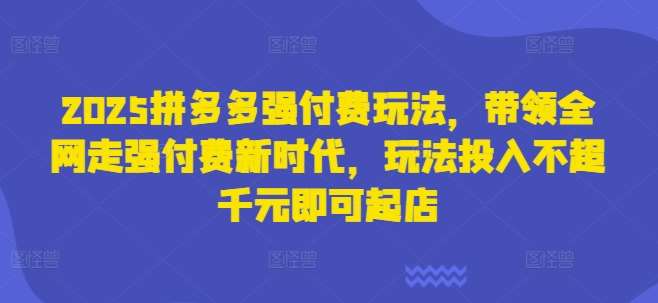 2025拼多多强付费玩法,带领全网走强付费新时代,玩法投入不超千元即可起店网创吧-网创项目资源站-副业项目-创业项目-搞钱项目网创吧