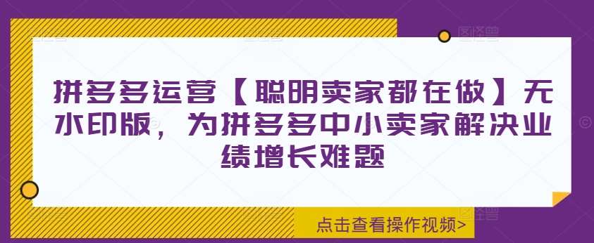 拼多多运营【聪明卖家都在做】无水印版,为拼多多中小卖家解决业绩增长难题网创吧-网创项目资源站-副业项目-创业项目-搞钱项目网创吧