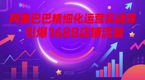 阿里巴巴精细化运营实战课,引爆1688店铺流量网创吧-网创项目资源站-副业项目-创业项目-搞钱项目网创吧