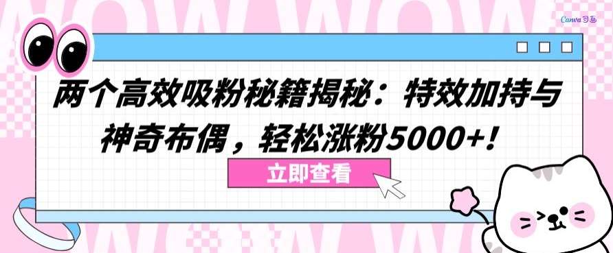 两个高效吸粉秘籍揭秘:特效加持与神奇布偶,轻松涨粉5000+【揭秘】网创吧-网创项目资源站-副业项目-创业项目-搞钱项目网创吧