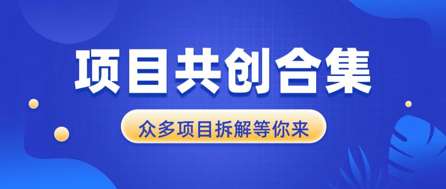 (13778期)项目共创合集,从0-1全过程拆解,让你迅速找到适合自已的项目网创吧-网创项目资源站-副业项目-创业项目-搞钱项目网创吧