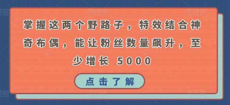 掌握这两个野路子，特效结合神奇布偶，能让粉丝数量飙升，至少增长 5000【揭秘】网创吧-网创项目资源站-副业项目-创业项目-搞钱项目网创吧
