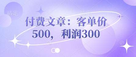 付费文章:客单价500,利润300网创吧-网创项目资源站-副业项目-创业项目-搞钱项目网创吧