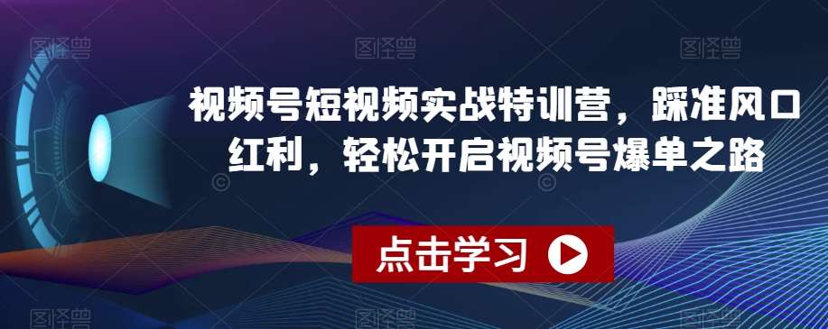 视频号短视频实战特训营，踩准风口红利，轻松开启视频号爆单之路网创吧-网创项目资源站-副业项目-创业项目-搞钱项目网创吧