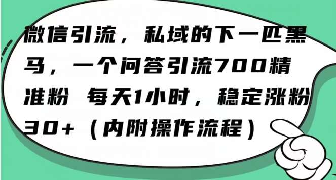 怎么搞精准创业粉?微信新赛道,每天一小时,利用Ai一个问答日引100精准粉网创吧-网创项目资源站-副业项目-创业项目-搞钱项目网创吧