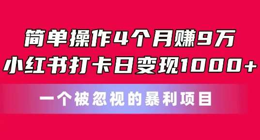 简单操作4个月赚9w,小红书打卡日变现1k,一个被忽视的暴力项目【揭秘】网创吧-网创项目资源站-副业项目-创业项目-搞钱项目网创吧
