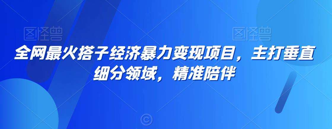 全网最火搭子经济暴力变现项目,主打垂直细分领域,精准陪伴【揭秘】网创吧-网创项目资源站-副业项目-创业项目-搞钱项目网创吧