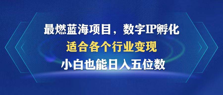(12941期)最燃蓝海项目 数字IP孵化 适合各个行业变现 小白也能日入5位数网创吧-网创项目资源站-副业项目-创业项目-搞钱项目网创吧
