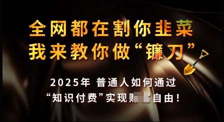 知识付费如何做到月入过W+,2025我来教你做“镰刀”【揭秘】网创吧-网创项目资源站-副业项目-创业项目-搞钱项目网创吧