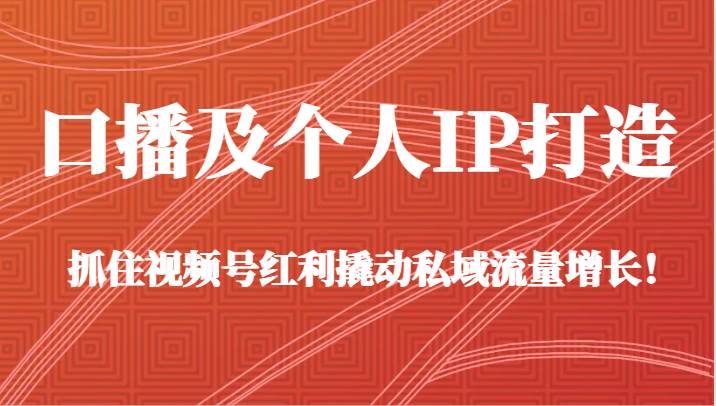 口播及个人IP打造,抓住视频号红利撬动私域流量增长!(45节课)网创吧-网创项目资源站-副业项目-创业项目-搞钱项目网创吧
