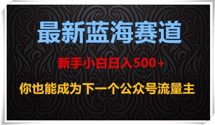 最新蓝海赛道,新手小白日入500+,你也能成为下一个公众号流量主【揭秘】网创吧-网创项目资源站-副业项目-创业项目-搞钱项目网创吧