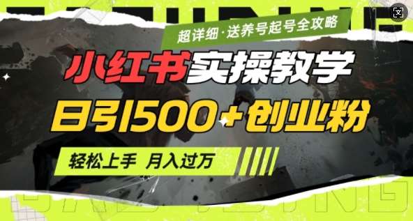 2月小红书最新日引500+创业粉实操教学【超详细】小白轻松上手,月入1W+,附小红书养号起号SOP网创吧-网创项目资源站-副业项目-创业项目-搞钱项目网创吧