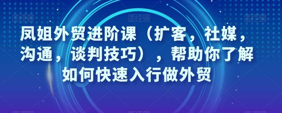 凤姐外贸进阶课(扩客,社媒,沟通,谈判技巧),帮助你了解如何快速入行做外贸网创吧-网创项目资源站-副业项目-创业项目-搞钱项目网创吧