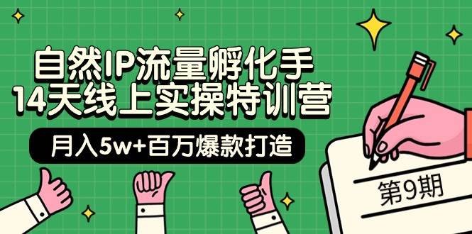 (9881期)自然IP流量孵化手 14天线上实操特训营【第9期】月入5w+百万爆款打造 (74节)网创吧-网创项目资源站-副业项目-创业项目-搞钱项目网创吧