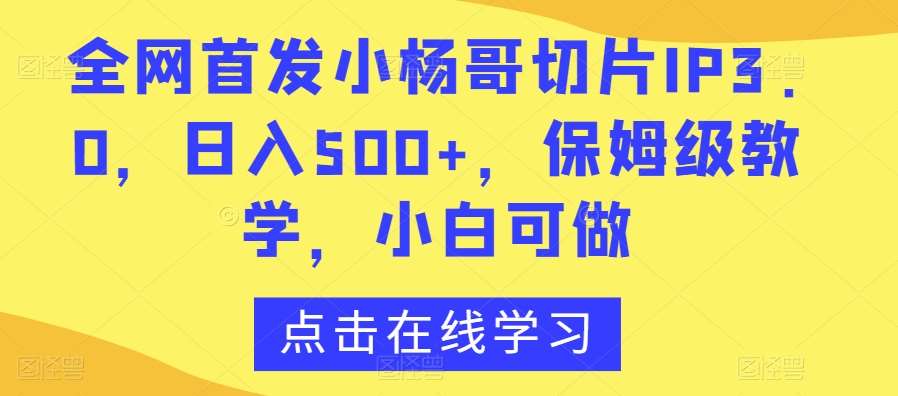 全网首发小杨哥切片IP3.0,日入500+,保姆级教学,小白可做【揭秘】网创吧-网创项目资源站-副业项目-创业项目-搞钱项目网创吧